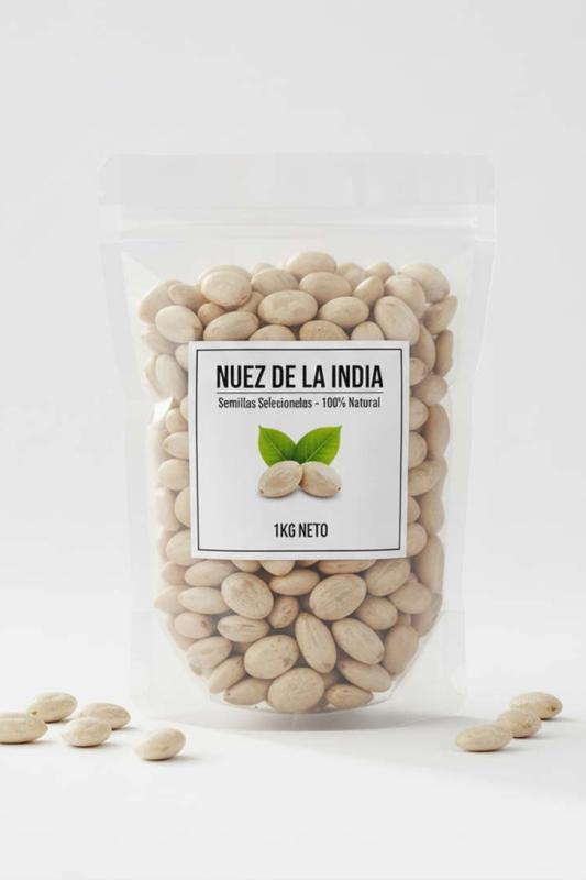 Nuez de la India - Semillas Seleccionadas 100% Natural (1 kg)